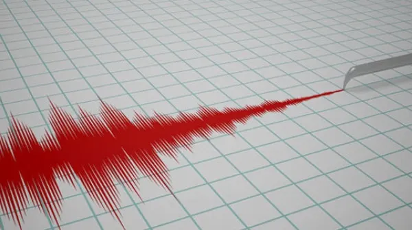Cutremur de 4,9 grade pe scara Richter la Tokyo