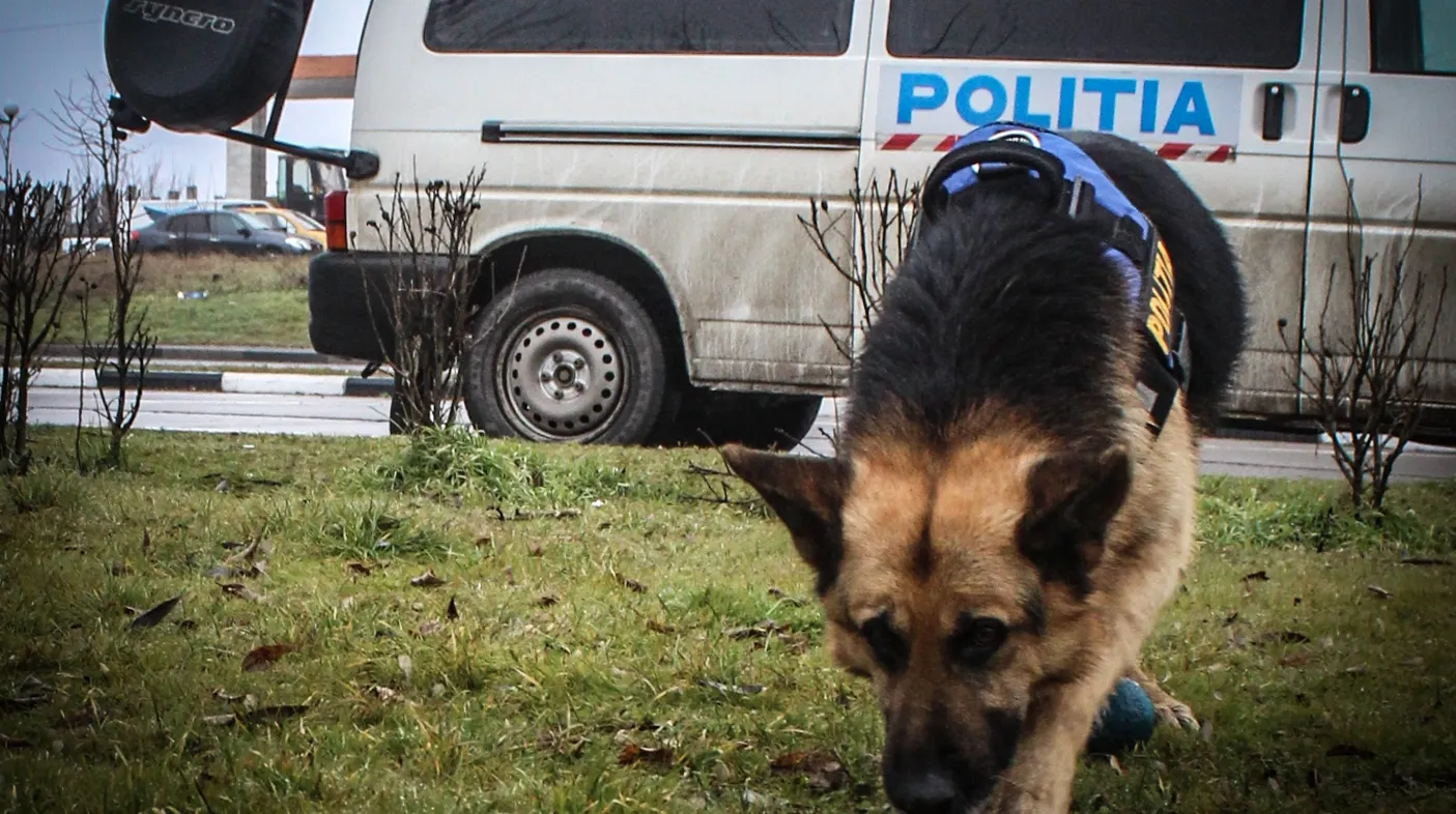 Bărbat dat dispărut după ce a plecat să se plimbe singur, căutat de zeci de poliţişti