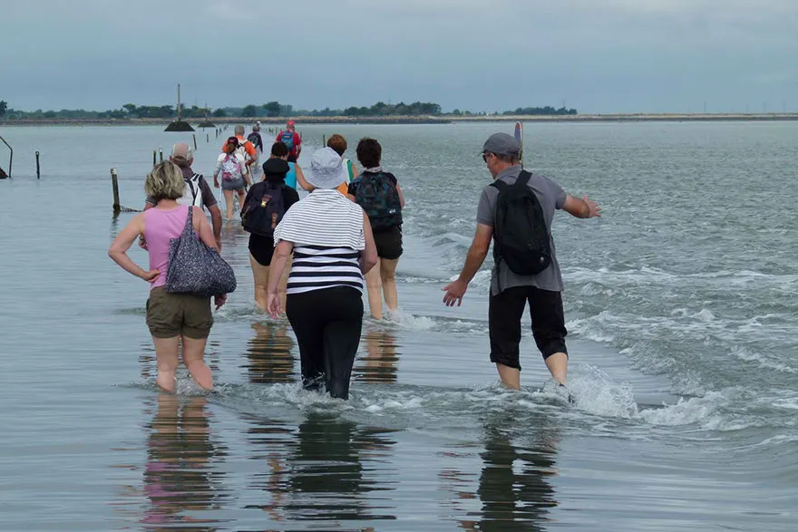 Spectaculos! Passage du Gois, drumul care dispare sub apă de două ori pe zi