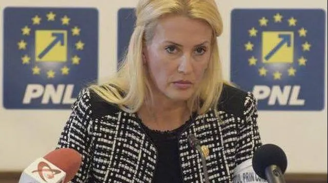 Dezbatere în Senat: o creșă la 15.000 de locuitori