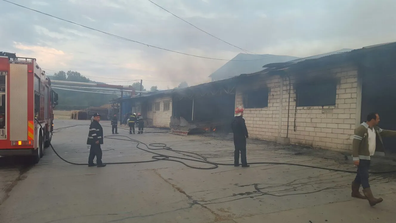 Incendiu puternic la o fabrică de cherestea din Vâlcea