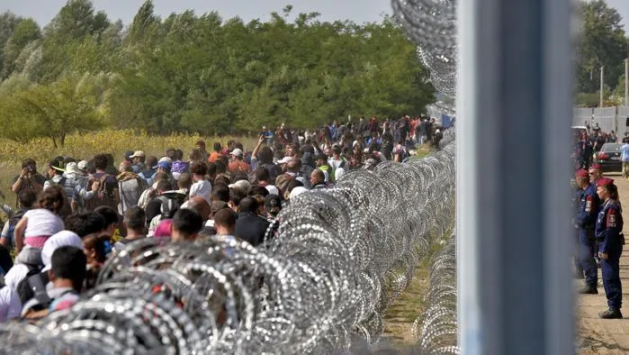 15 migranţi depistaţi de poliţişti în timp ce încercau să intre ilegal în ţară