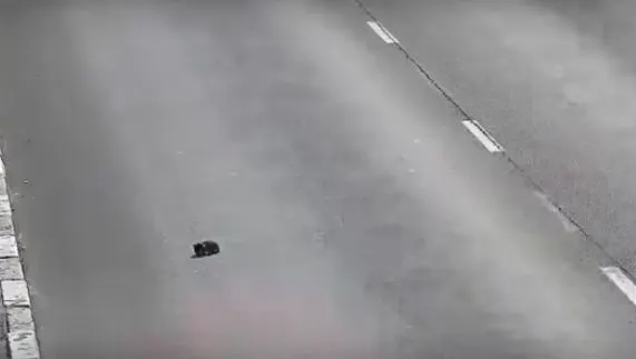 Un pui de pisică ajunge în mijlocul unei autostrăzi printre maşini. Ce a urmat este fantastic