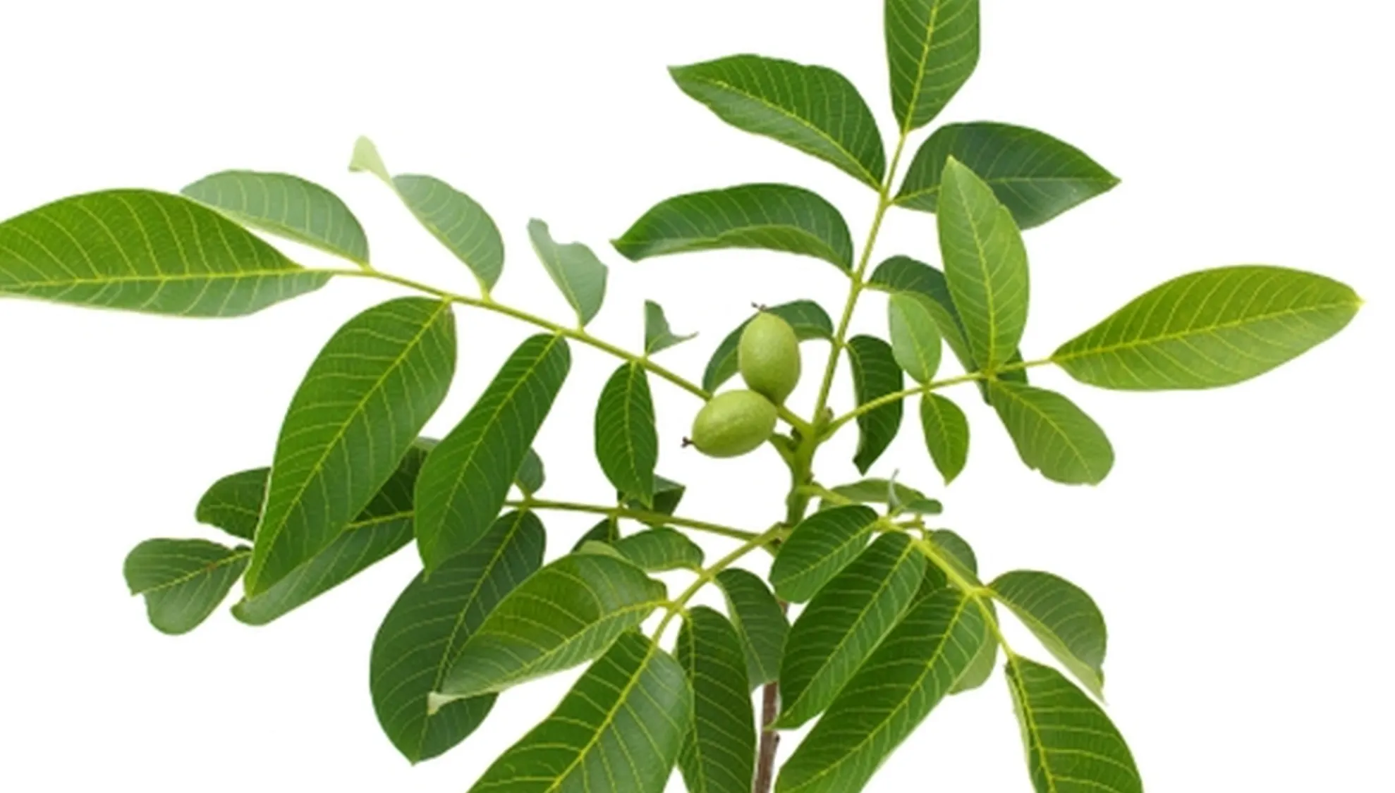Așa îți reduci glicemia în mod natural