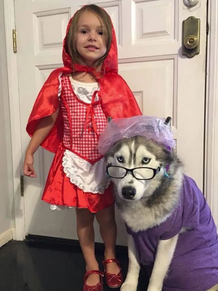 Cele mai INEDITE costume de Halloween. Au devenit virale pe net