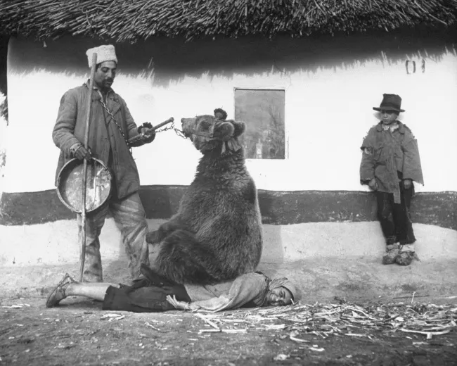 Top 10 fotografii marcante ale istorie! Orice om trebuie să le vadă cel puțin o dată în viață