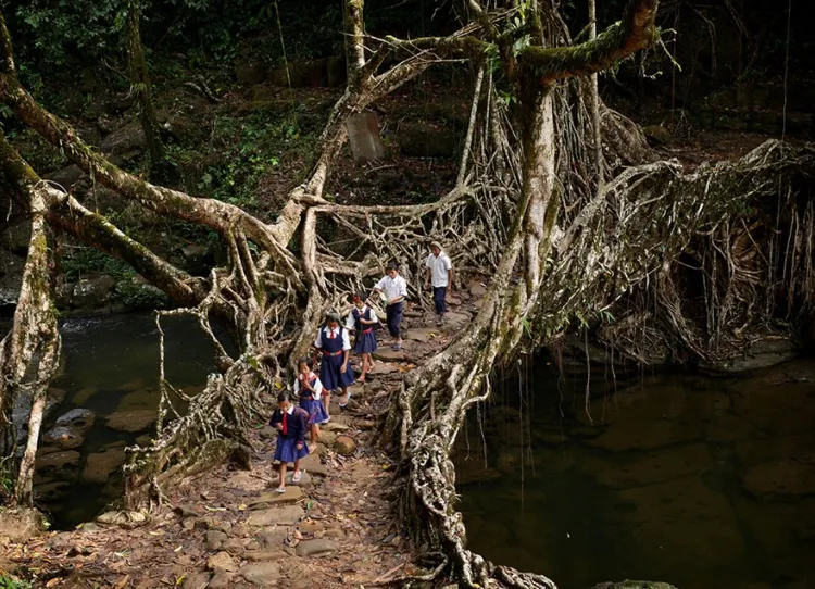 Top 10 cele mai periculoase drumuri spre școală din lume! Ți se face pielea de găină