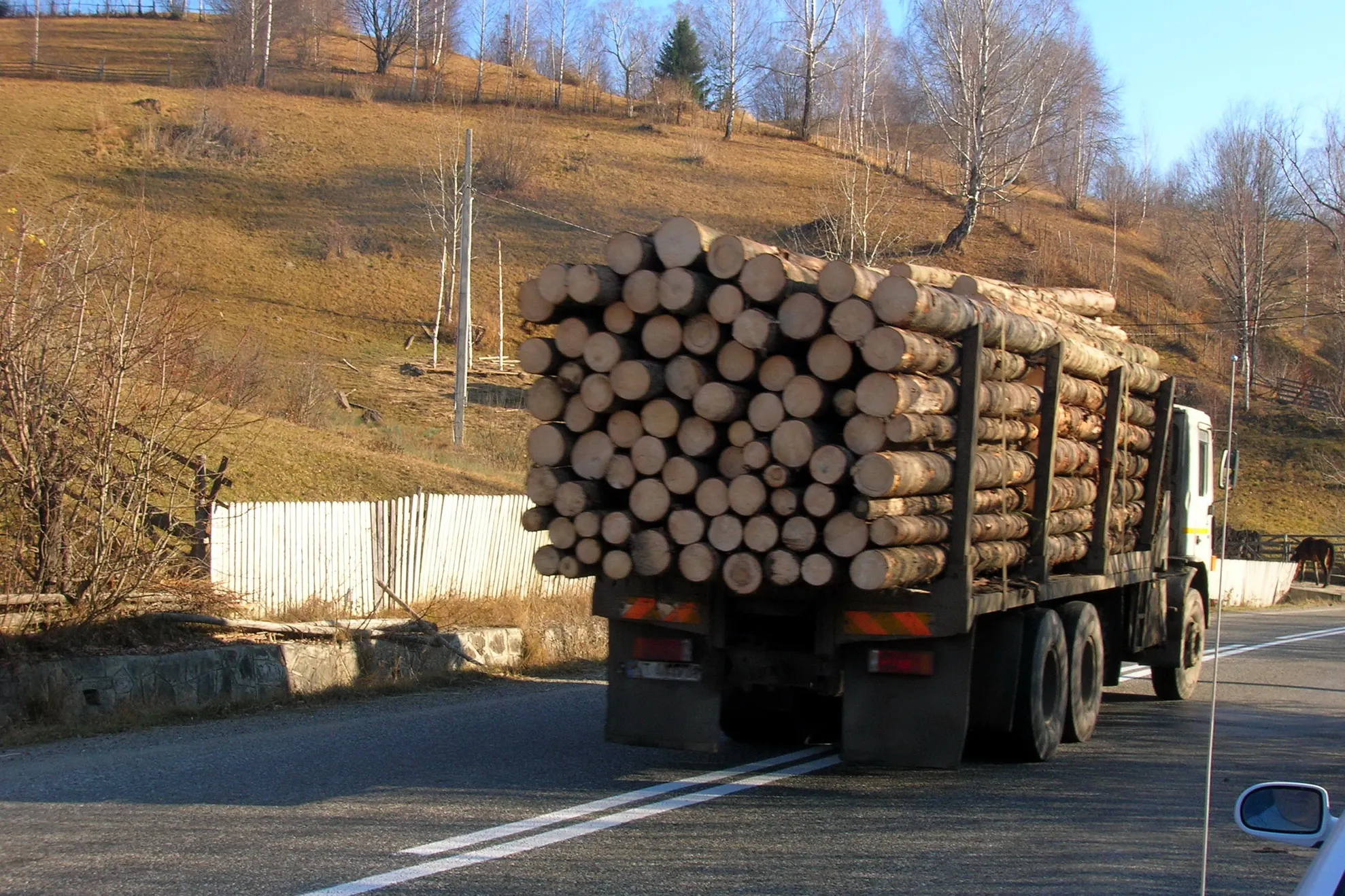 Manipulare ordinară marca Antena 3: de fapt, elvețienii ne fură lemnul