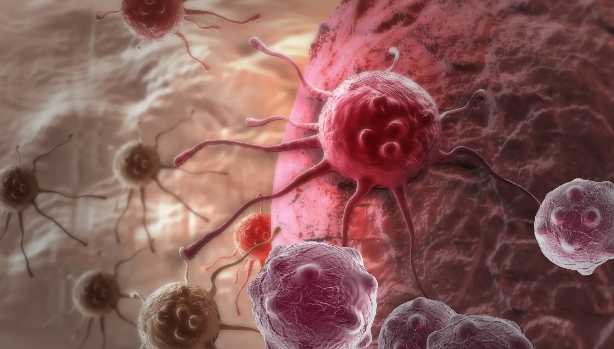 Evită aceste alimente! Pot cauza cancer