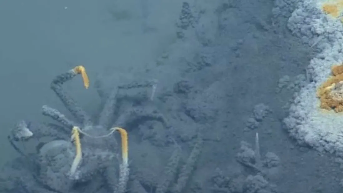 Au descoperit un lac sub ocean. "Cine ajunge acolo nu mai iese viu"