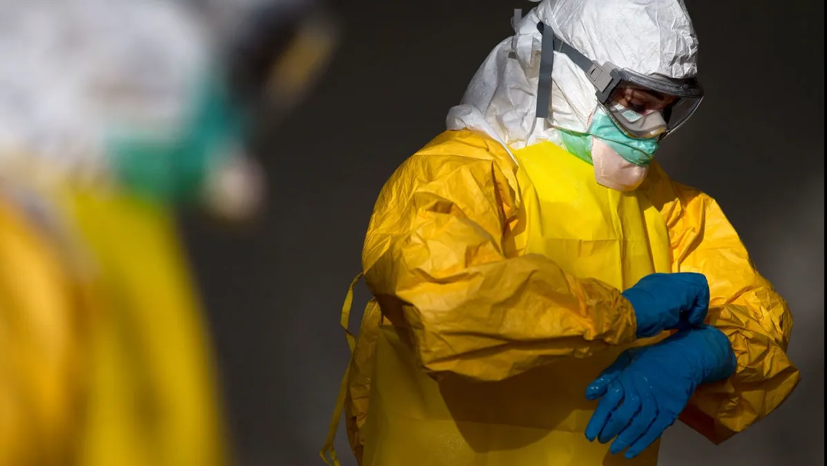 ALERTĂ Pestă porcină africană, la doar 70 de km de frontiera României