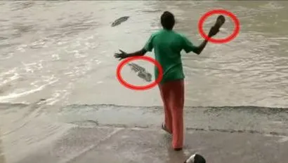 Imagini haioase. O femeie încearcă să alunge un crocodil cu un papuc