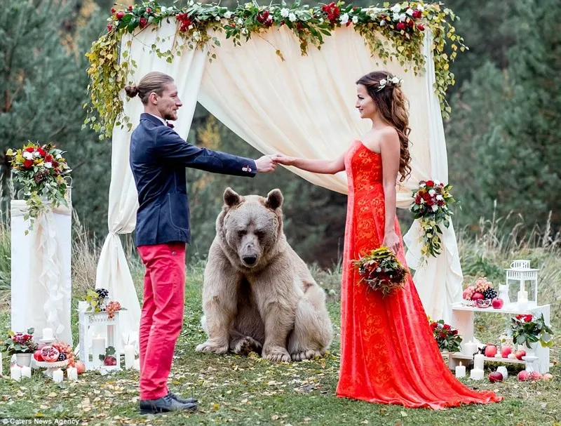 Nimeni nu s-a mai uitat la mire şi la mireasă! Un urs brun le-a "binecuvântat" nunta