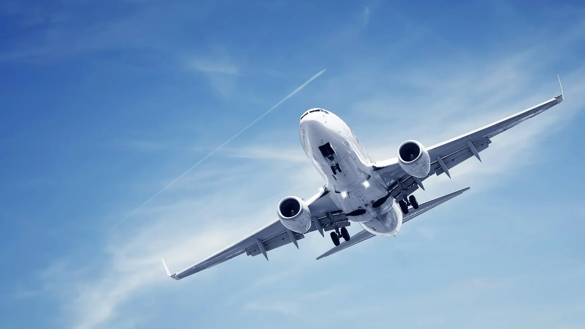 Panică în avion. O viperă a căzut din bagaje, printre pasageri. Imagini uluitoare