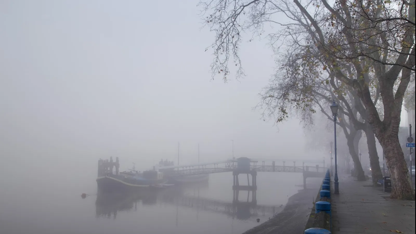 Dimineața, pe acest pod apare o creatură ciudată. Când și-au dat seama ce e, oamenii au râs