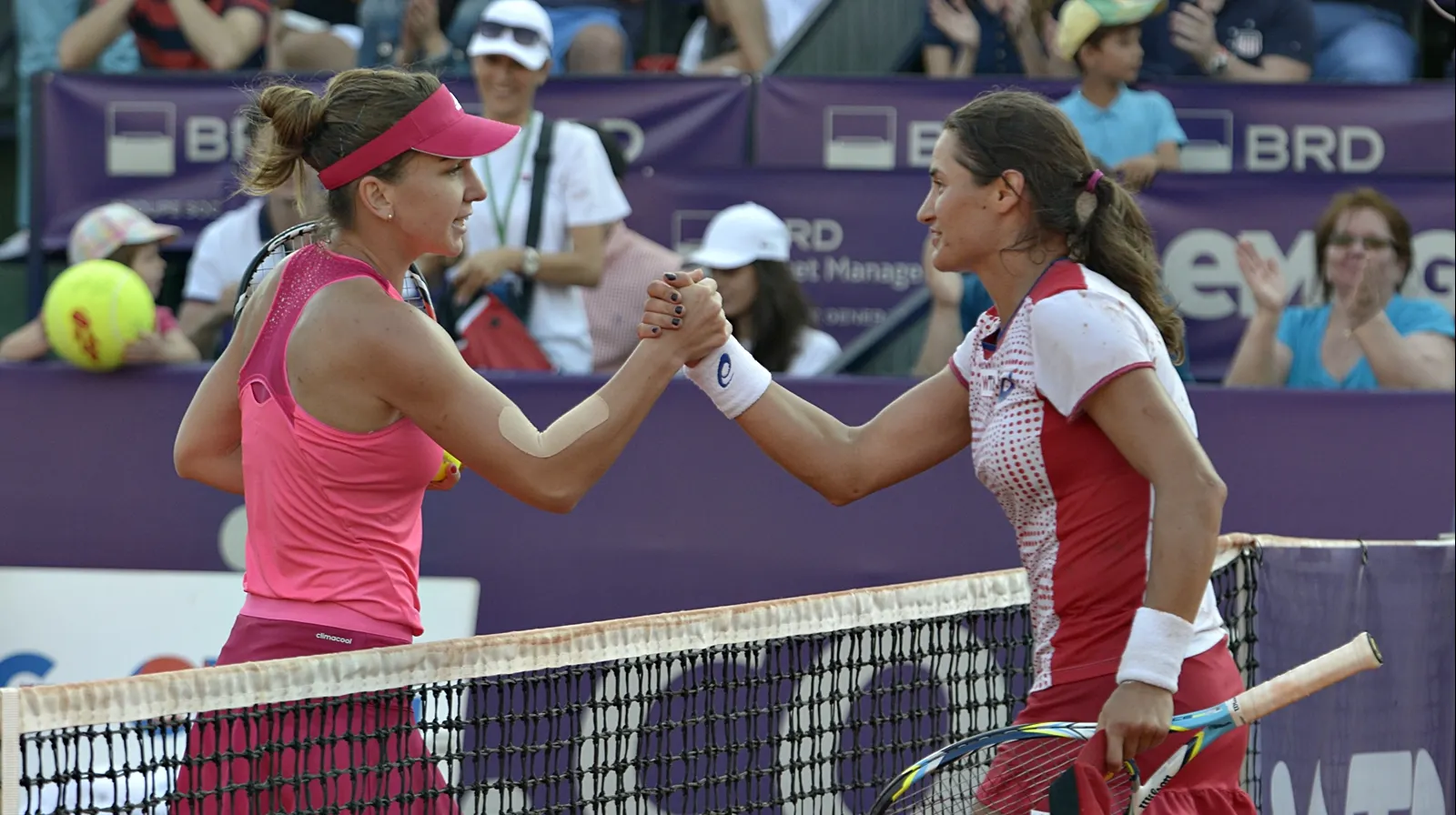Halep şi Niculescu, nominalizate la titlul de "lovitura anului"