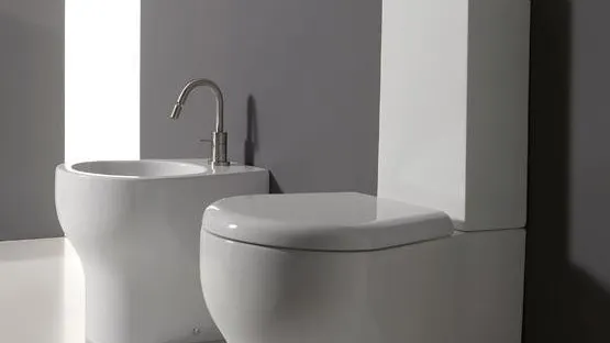 Situaţie incredibilă în Vrancea. Un primar va construi cele mai scumpe WC-uri publice din ţară 