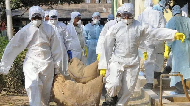 Portul Constanța, în CARANTINĂ după ce în zonă s-a găsit o pasăre infectată cu gripă aviară