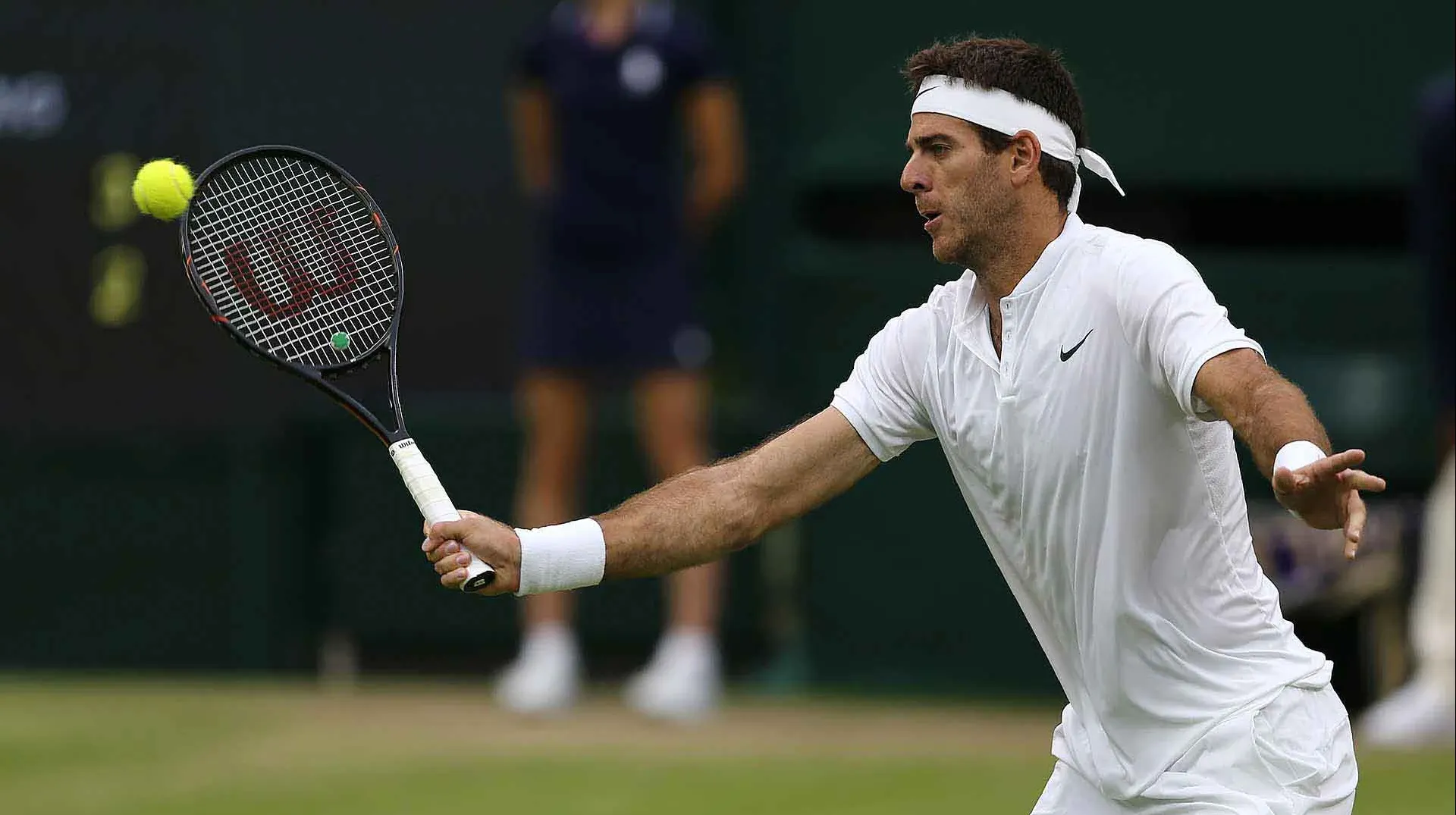 Del Potro l-a învins pe David Ferrer într-un meci demonstrav spectaculos