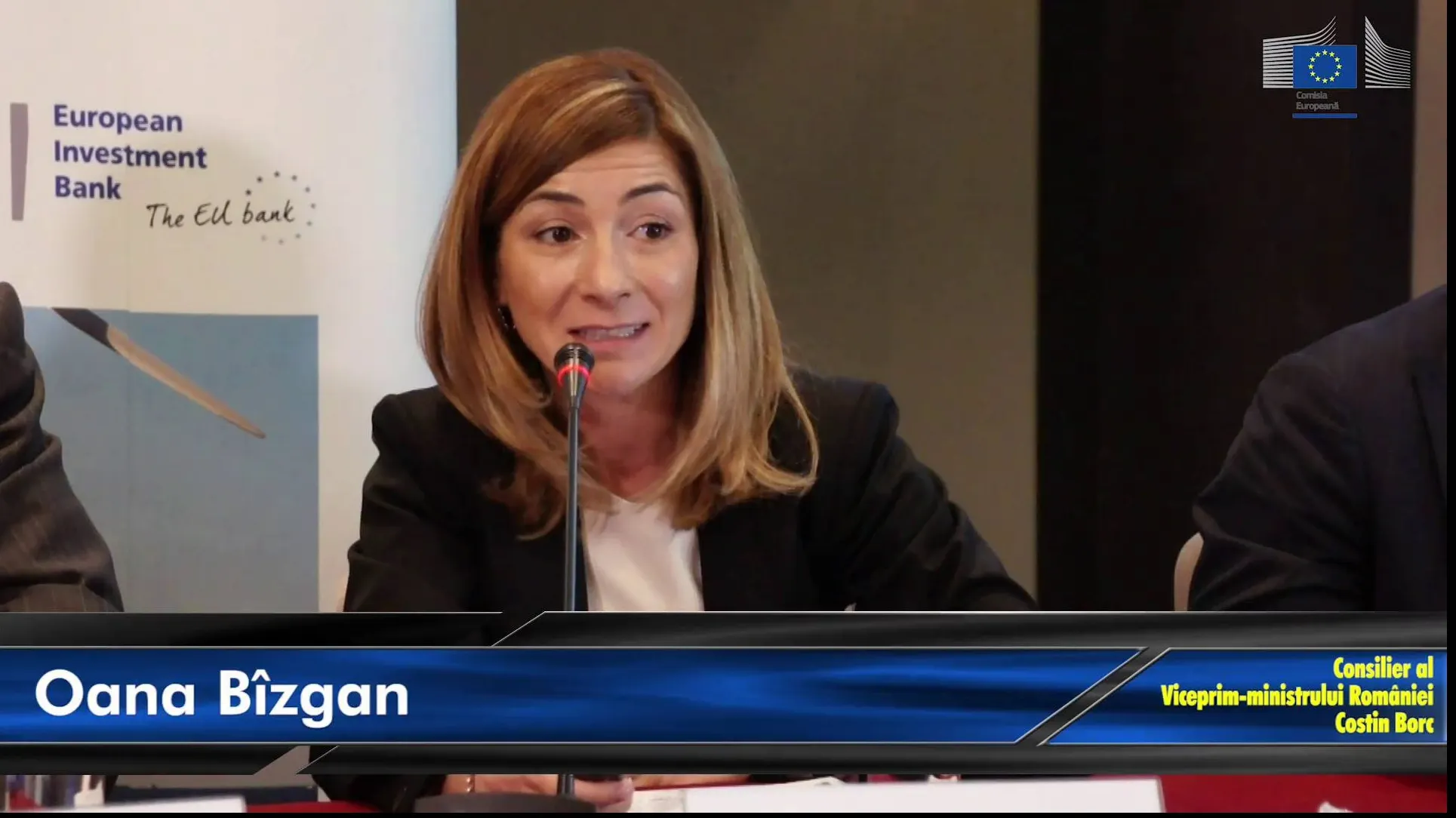 Oana Bîzgan, candidat USR și membru în trei Consilii de Administrație