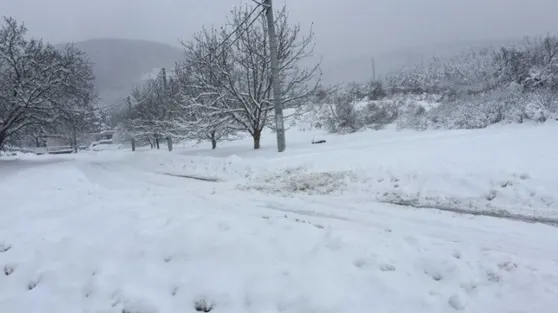 ALERTĂ METEO. Cod galben de ninsori şi VÂNT puternic în 12 județe