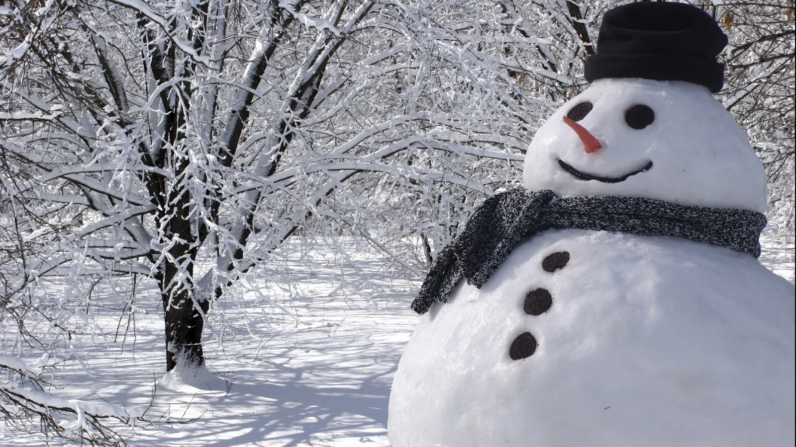 Vremea se schimbă din a doua zi de Crăciun. Prognoza meteo pentru luni și marți
