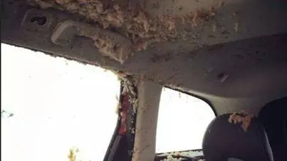 De ce să nu laşi o doză de suc în maşină atunci când este ger