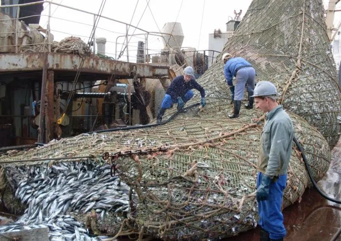 Pescarii au trăit ŞOCUL vieţii! Ce au putut găsi în plasă, printre peşti, muncitorii de pe pescador