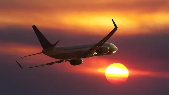 Un pasager și-a luat toate animalele de companie cu el în avion. Imaginea e uluitoare