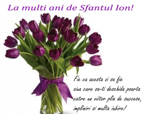 SF. ION 2017. Cele mai frumoase mesaje, felicitări, sms-uri și urări cu ocazia SFÂNTULUI ION