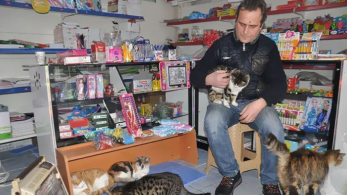 Gest impresionat făcut de patronii unor magazine din Istanbul pentru animalele fără stăpân