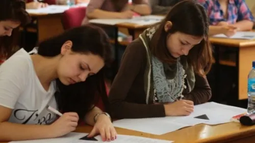 SIMULARE BAC - Altfel de subiecte la Română pentru clasa a XI-a 