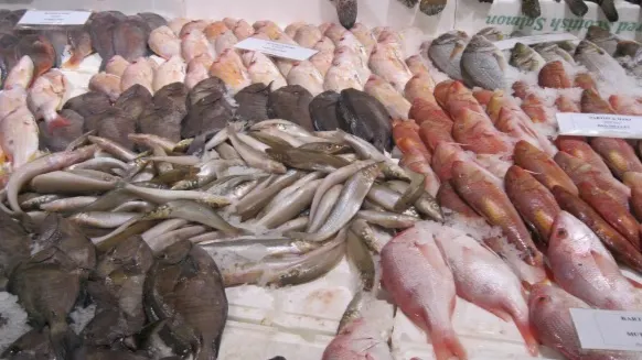 OTRAVA ascunsă din PEŞTE. Dacă şi tu consumi acest aliment, trebuie să citeşti asta!
