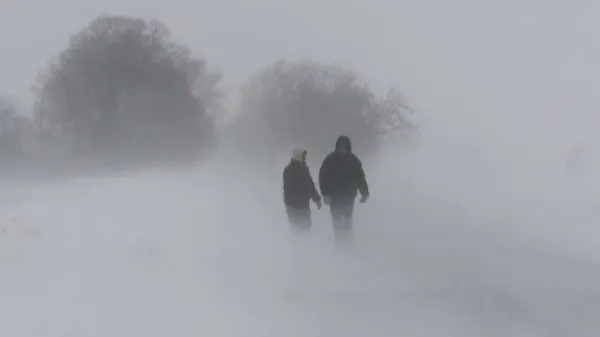 Informare meteo de ninsori viscolite şi ger. Care sunt cele mai afectate zone - HARTA