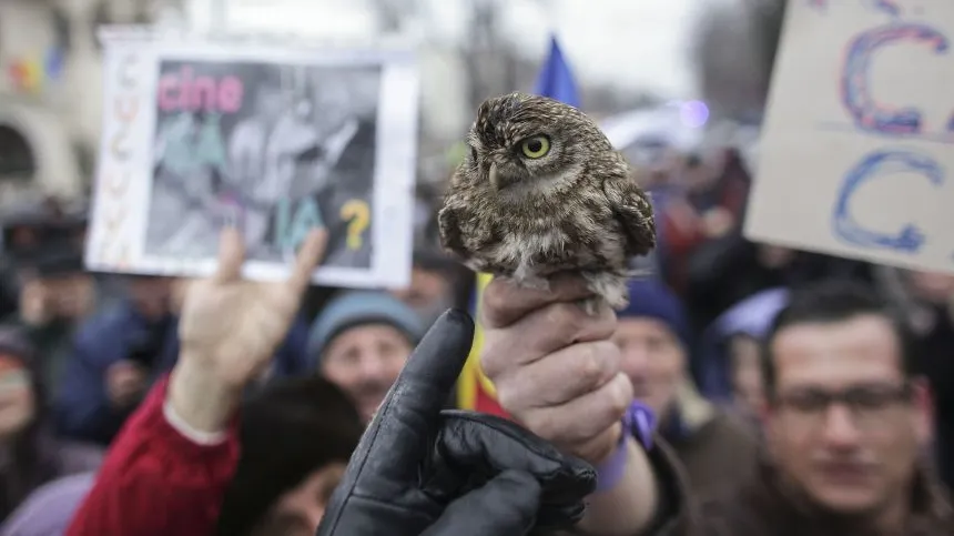 Bărbatul care a adus o cucuvea la protestul de la Cotroceni ar putea face închisoare