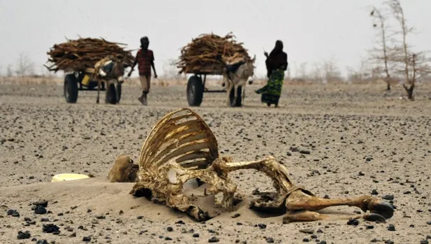 Dezastru în Kenya. Preşedintele declară stare de urgenţă