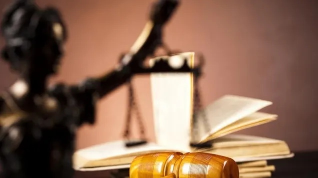 Cine este singurul senator care a votat împotriva respingerii OUG 13