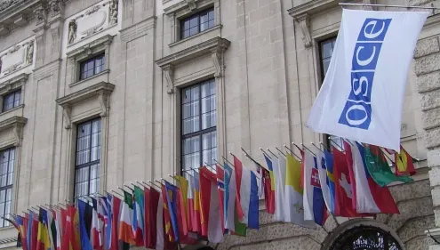 OSCE: Ordonanța de urgență din domeniul justiției, un regres pentru statul de drept în România