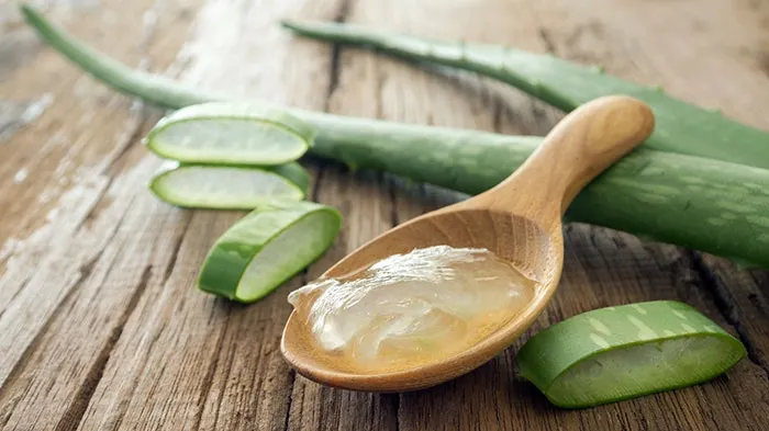 Aloe Vera este aur pentru organism! Iată câteva proprietăţi miraculoase ale plantei