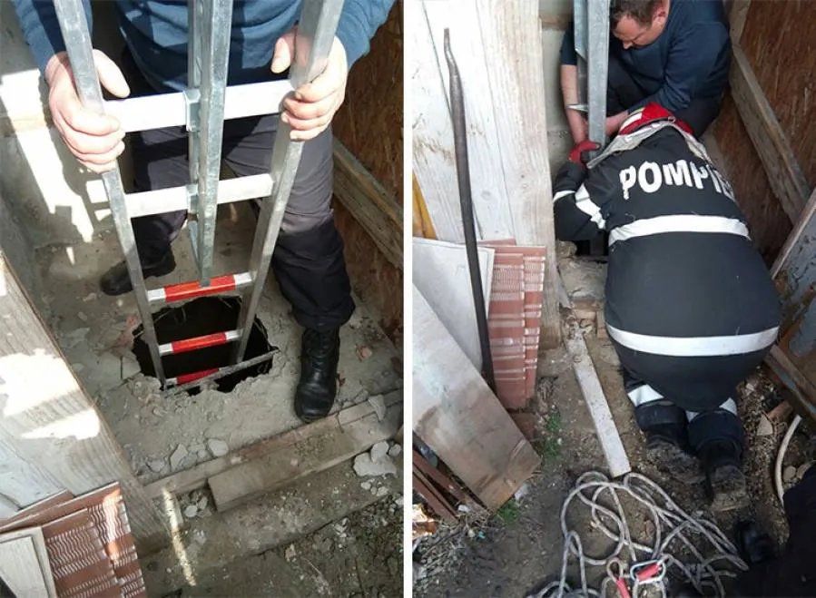Intervenţie de urgenţă, la Constanţa - un căţeluş căzut într-o hazna adâncă, salvat