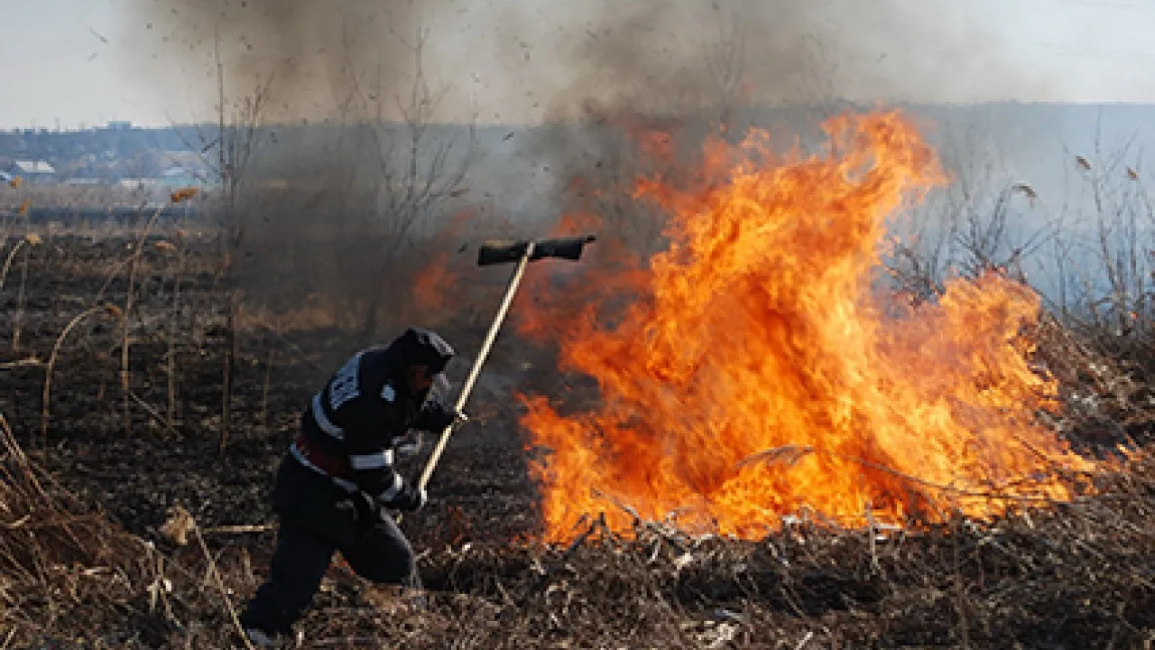 Incendiu de vegetaţie în judeţul Arad: traficul feroviar, oprit pe magistrala 200 Deva - Arad