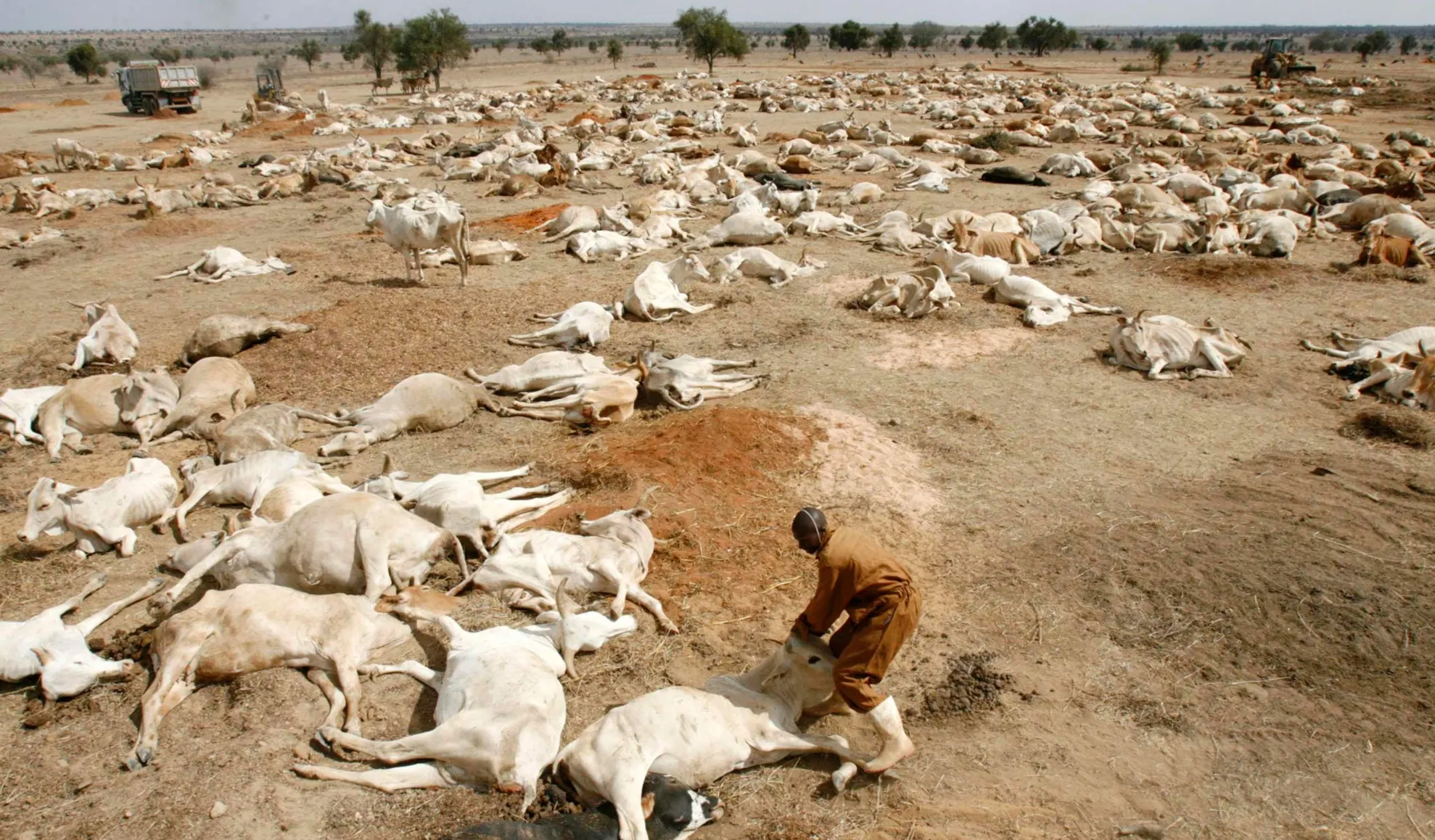 O secetă cumplită amenință estul Africii. Efectele ei sunt dezastruoase