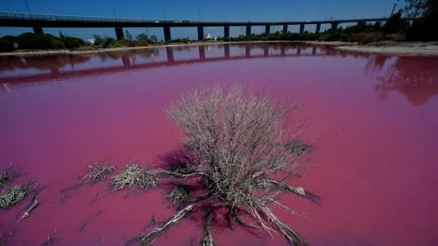 Au crezut că este un dezastru ecologic, dar este un fenomen natural bizar. Ce culoare are acest lac