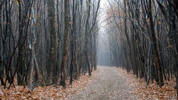 Cele mai ciudate 3 locuri din lume. Primul în top se află în România