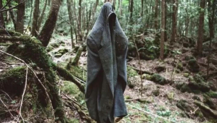 Cea mai terifiantă pădure din lume ascunde un SECRET ORIBIL! Autorităţile nu mai fac faţă! Copacii..