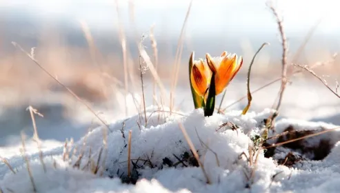 Fenomen meteo bizar: în prag de primăvară, a nins în Spania