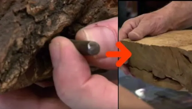 A văzut un cui uriaș într-un buștean, așa că a luat toporul și e incredibil ce a descoperit