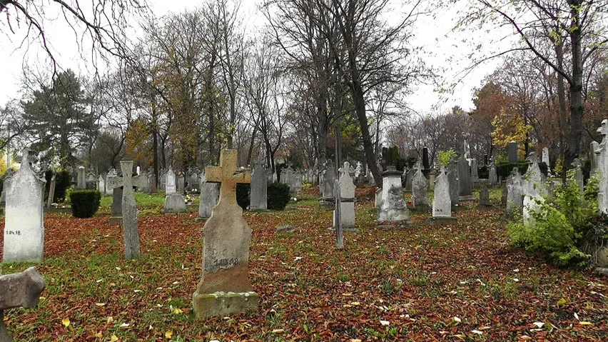 Bebeluşul a fost îngropat într-un cimitir. După câteva zile, nişte sunete s-au auzit din pământ.Şoc!