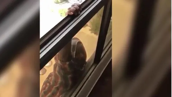 Sclavagism modern în Kuwait. Până unde poate merge exploatarea celor săraci
