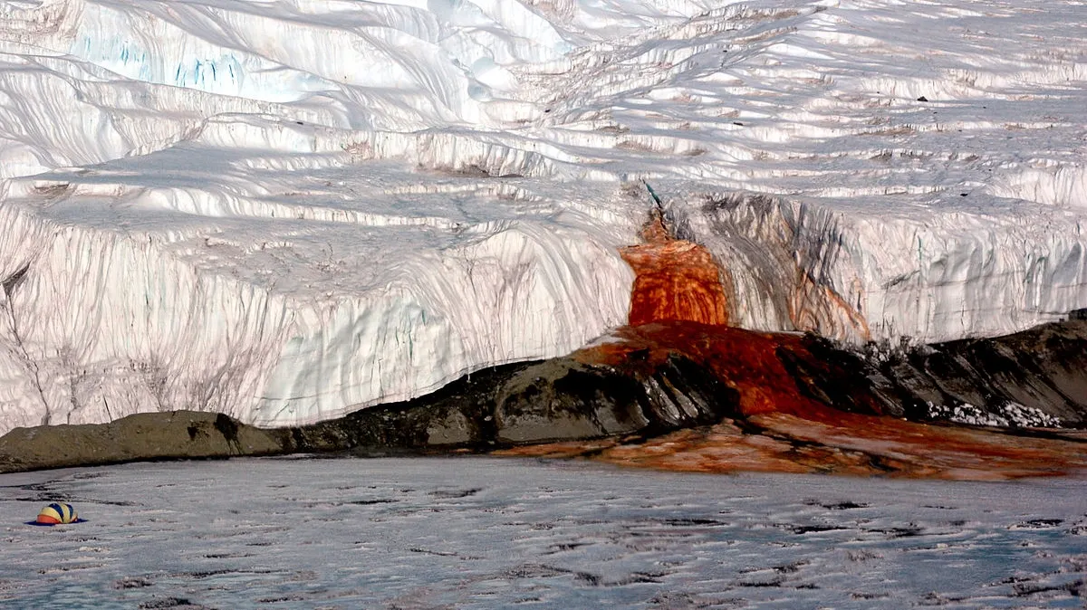 Misterul „sângeros” al Antarcticii a fost ELUCIDAT după mai bine de un secol de la descoperire